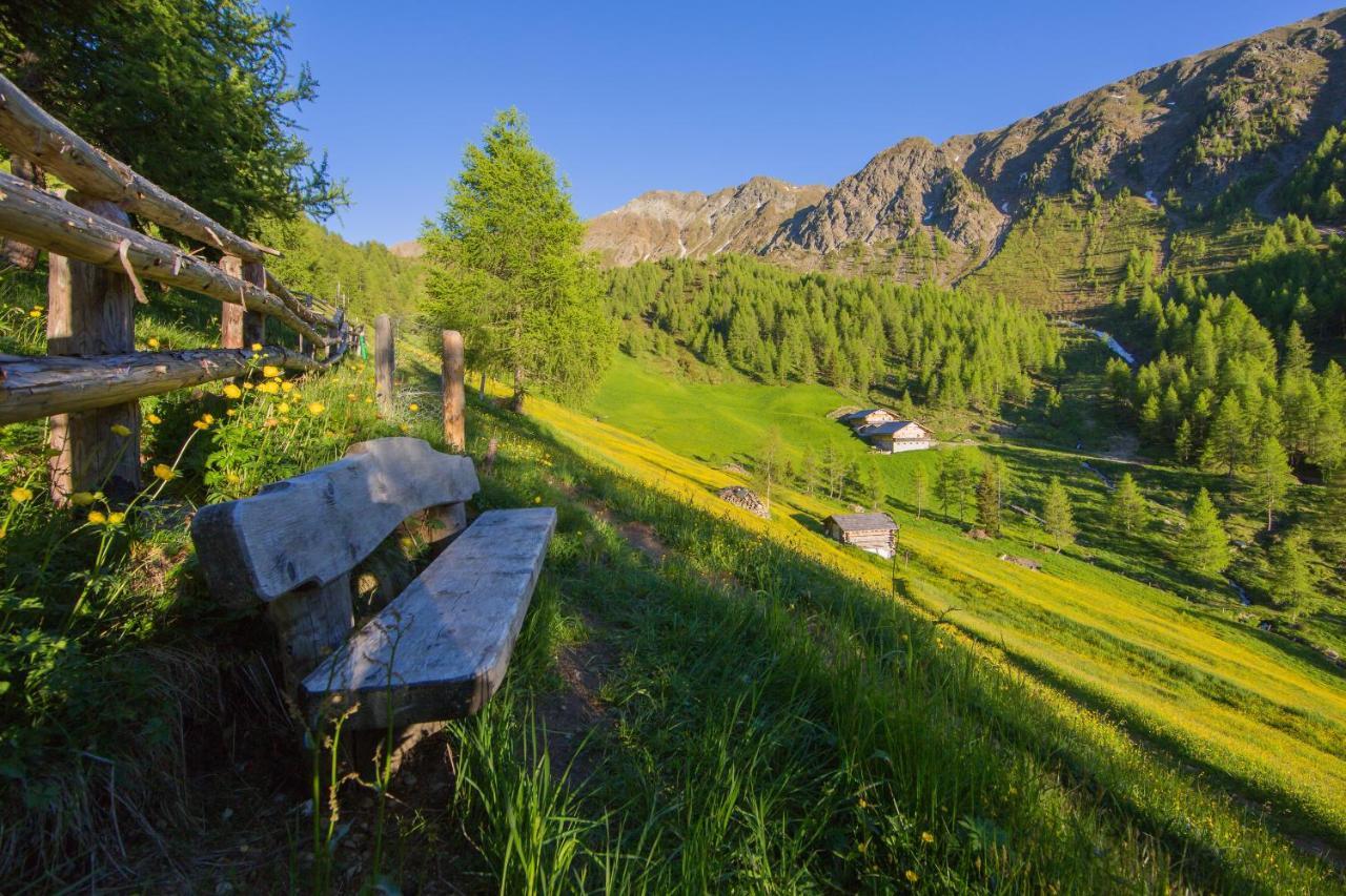 Feldererhof Apt Almenblick Santa Maddalena in Casies Extérieur photo